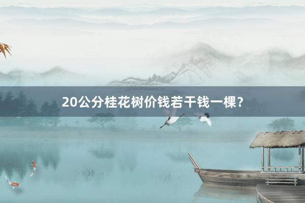 20公分桂花树价钱若干钱一棵？